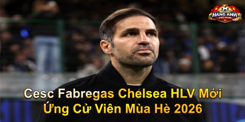 Cesc Fabregas Chelsea Hlv Mới Ứng Cử Viên Mùa Hè 2026