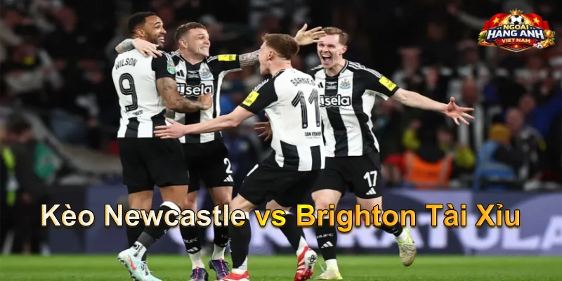 Kèo Newcastle vs Brighton Tài Xỉu