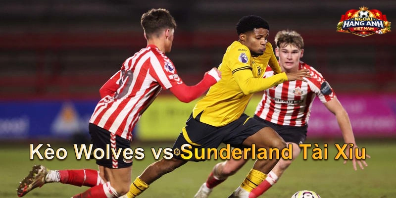 Kèo Wolves vs Sunderland Tài Xỉu