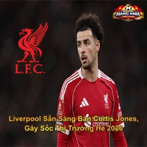 Liverpool Sẵn Sàng Bán Curtis Jones, Gây Sốc Thị Trường Hè 2026