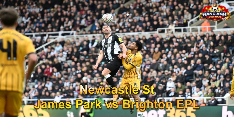 Newcastle St James Park vs Brighton EPL