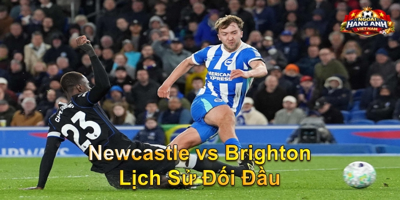 Newcastle vs Brighton Lịch Sử Đối Đầu