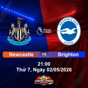 Nhận Định Bóng Đá Anh: Newcastle vs Brighton