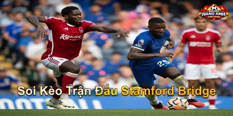 Soi Kèo Trận Đấu Stamford Bridge
