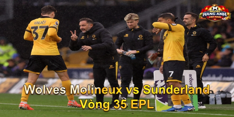 Wolves Molineux vs Sunderland Vòng 35 EPL