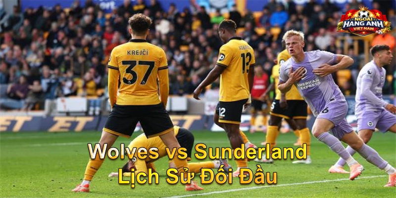Wolves vs Sunderland Lịch Sử Đối Đầu