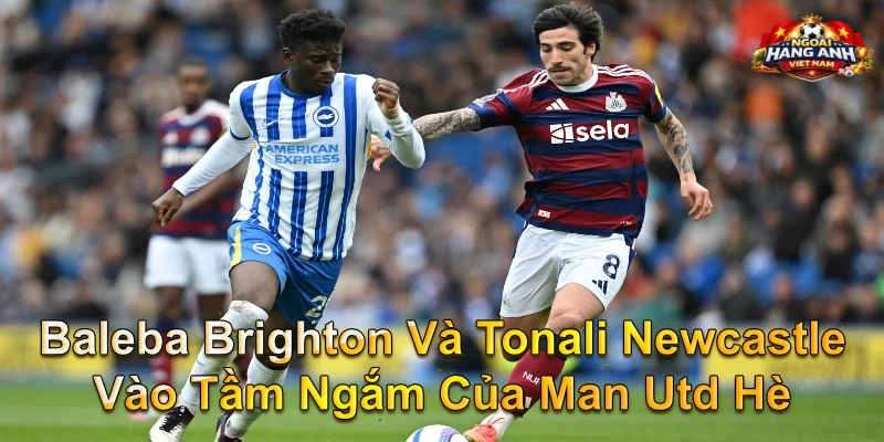 Baleba Brighton Và Tonali Newcastle Vào Tầm Ngắm Của Man Utd Hè