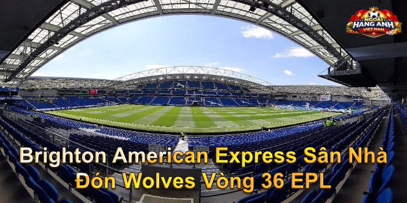 Brighton American Express Sân Nhà Đón Wolves Vòng 36 EPL