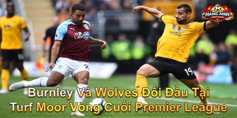 Burnley Và Wolves Đối Đầu Tại Turf Moor Vòng Cuối Premier League