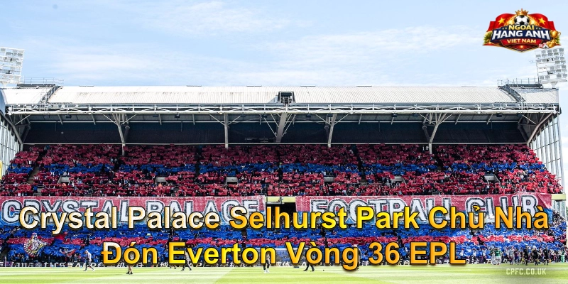 Crystal Palace Selhurst Park Chủ Nhà Đón Everton Vòng 36 EPL