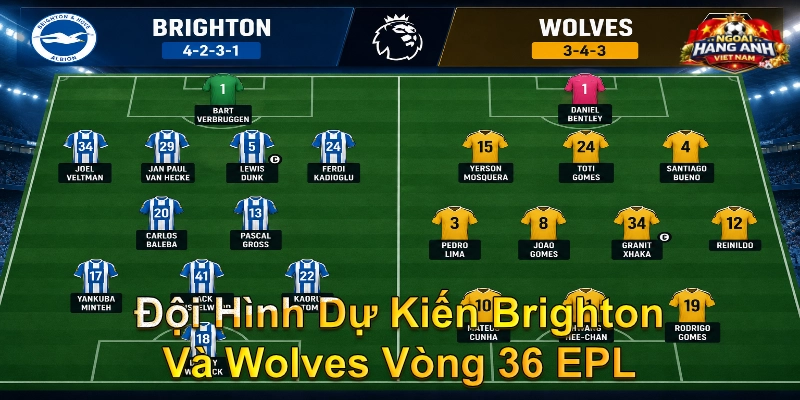 Đội Hình Dự Kiến Brighton Và Wolves Vòng 36 EPL
