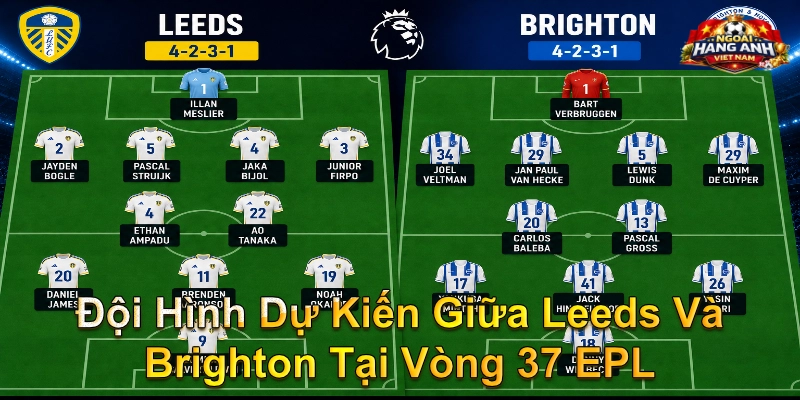 Đội Hình Dự Kiến Giữa Leeds Và Brighton Tại Vòng 37 EPL