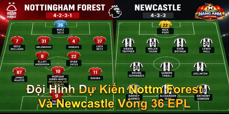 Đội Hình Dự Kiến Nottm Forest Và Newcastle Vòng 36 EPL