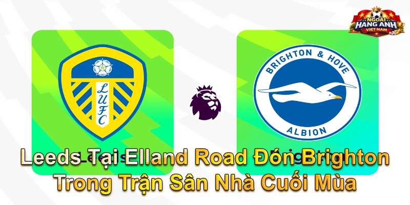 Leeds Tại Elland Road Đón Brighton Trong Trận Sân Nhà Cuối Mùa