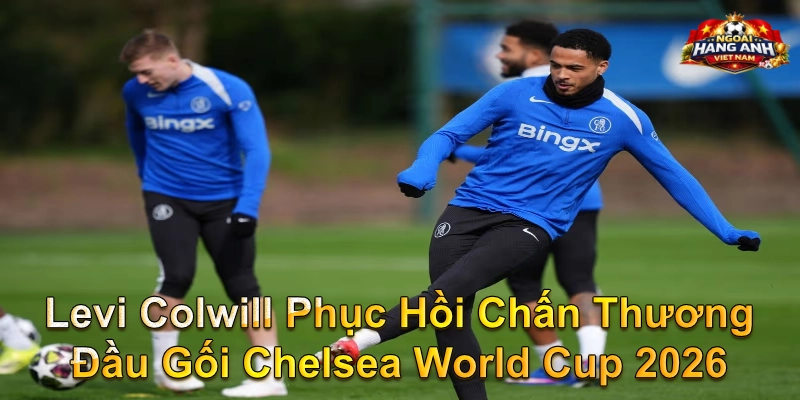 Levi Colwill Phục Hồi Chấn Thương Đầu Gối Chelsea World Cup 2026