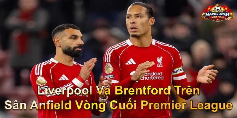 Liverpool Và Brentford Trên Sân Anfield Vòng Cuối Premier League