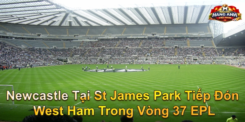 Newcastle Tại St James Park Tiếp Đón West Ham Trong Vòng 37 EPL