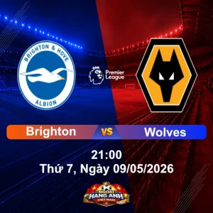 Nhận Định Bóng Đá Anh: Brighton Vs Wolves 21:00, Thứ 7 Ngày 09/05/2026 - Vòng 36 Ngoại Hạng Anh