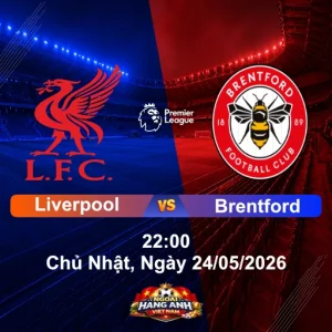 Nhận Định Bóng Đá Anh Liverpool Vs Brentford (22H Ngày 24/05/2026): Vòng 38 Ngoại Hạng Anh
