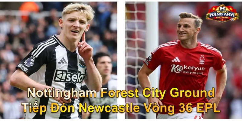 Nottingham Forest City Ground Tiếp Đón Newcastle Vòng 36 EPL