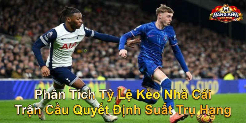 Phân Tích Tỷ Lệ Kèo Nhà Cái Trận Cầu Quyết Định Suất Trụ Hạng