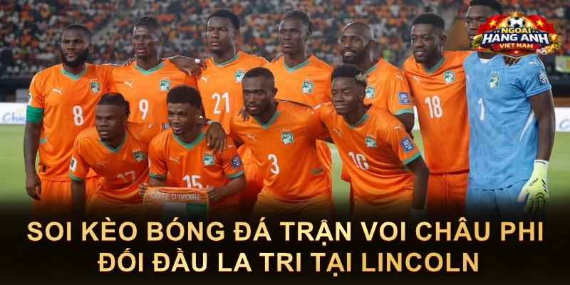 Soi Kèo Bóng Đá Trận Voi Châu Phi Đối Đầu La Tri Tại Lincoln