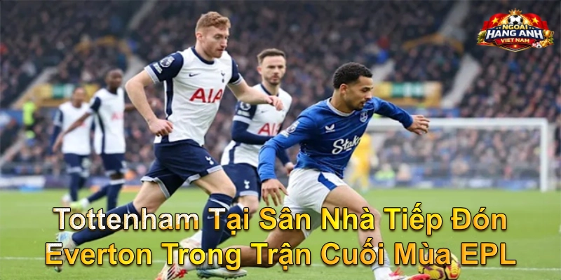 Tottenham Tại Sân Nhà Tiếp Đón Everton Trong Trận Cuối Mùa EPL