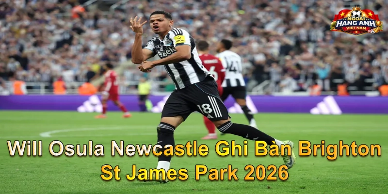 Will Osula Newcastle Ghi Bàn Brighton St James Park 2026