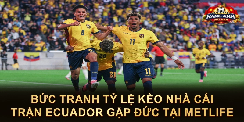 Bức Tranh Tỷ Lệ Kèo Nhà Cái Trận Ecuador Gặp Đức Tại MetLife