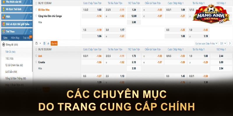 Các chuyên mục do trang cung cấp chính