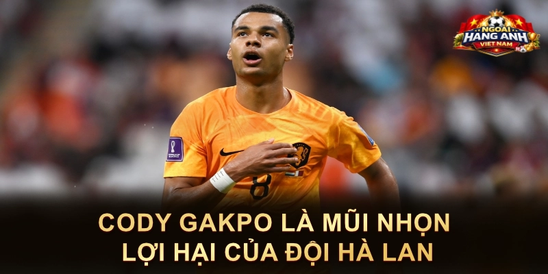 Cody Gakpo Là Mũi Nhọn Lợi Hại Của Đội Hà Lan