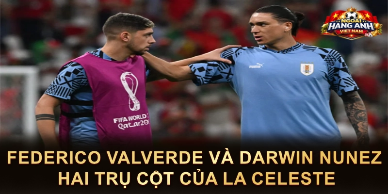 Federico Valverde Và Darwin Nunez Hai Trụ Cột Của La Celeste