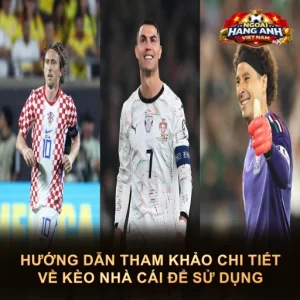 Hướng Dẫn Tham Khảo Chi Tiết Về Kèo Nhà Cái Để Sử Dụng