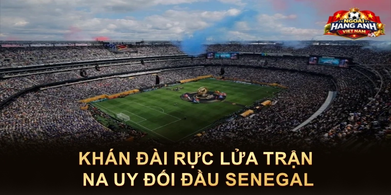 Khán Đài Rực Lửa Trận Na Uy Đối Đầu Senegal