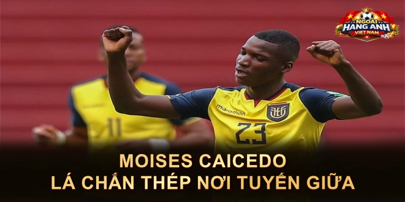 Moises Caicedo Lá Chắn Thép Nơi Tuyến Giữa