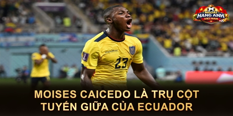 Moises Caicedo Là Trụ Cột Tuyến Giữa Của Ecuador