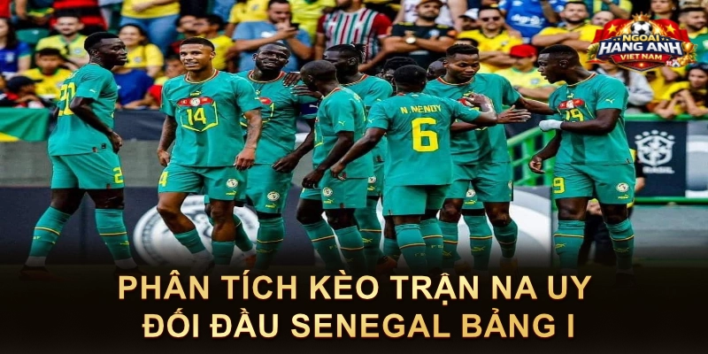 Phân Tích Kèo Trận Na Uy Đối Đầu Senegal Bảng I
