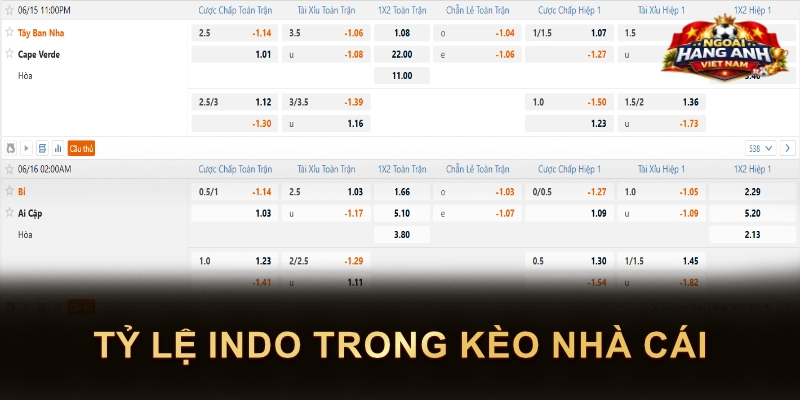 Tỷ lệ Indo trong kèo nhà cái